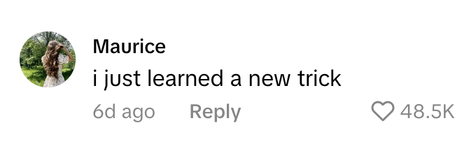 TikTok comment